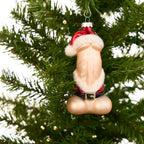 Little Saint Nick