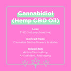 REVOLUTION CBD Rich Nourishing Cream