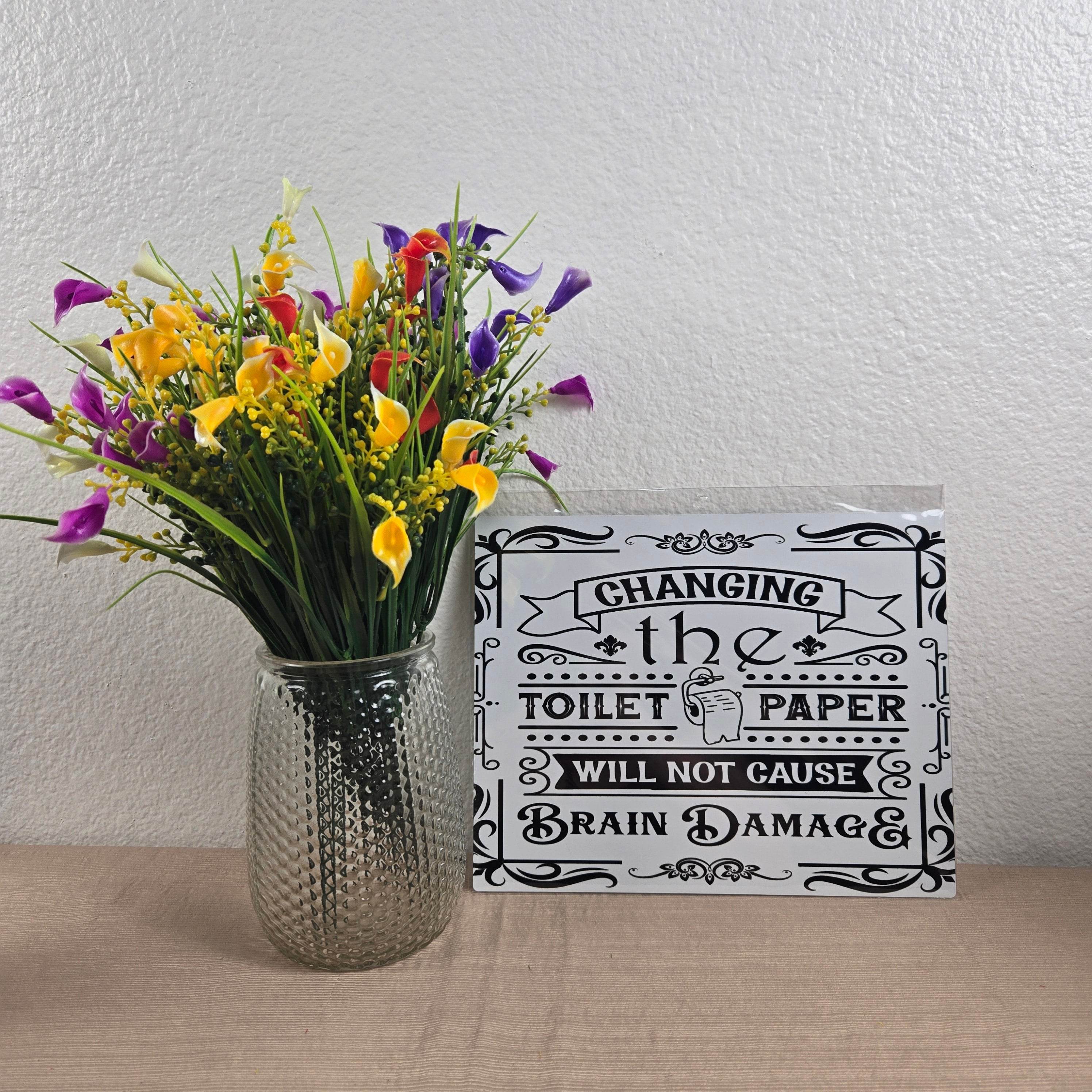 Changing the Toilet Paper will NOT cause Brain Damage Aluminum Sign 8x10