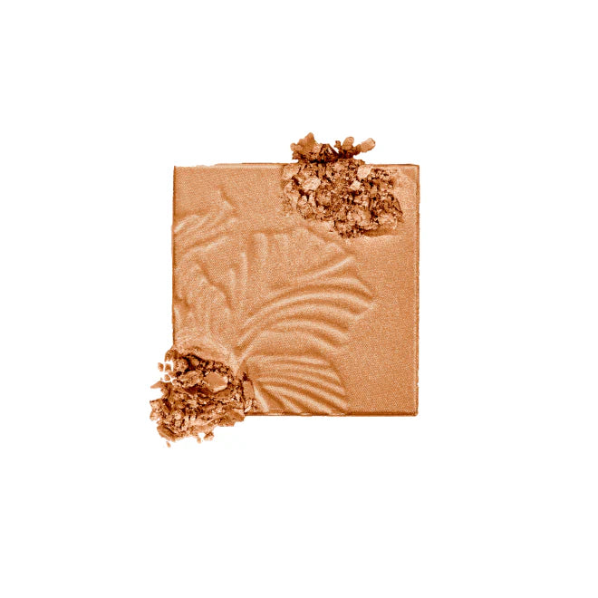 Wet n Wild Fantasy Makers MegaGlo Highlighting Powder
