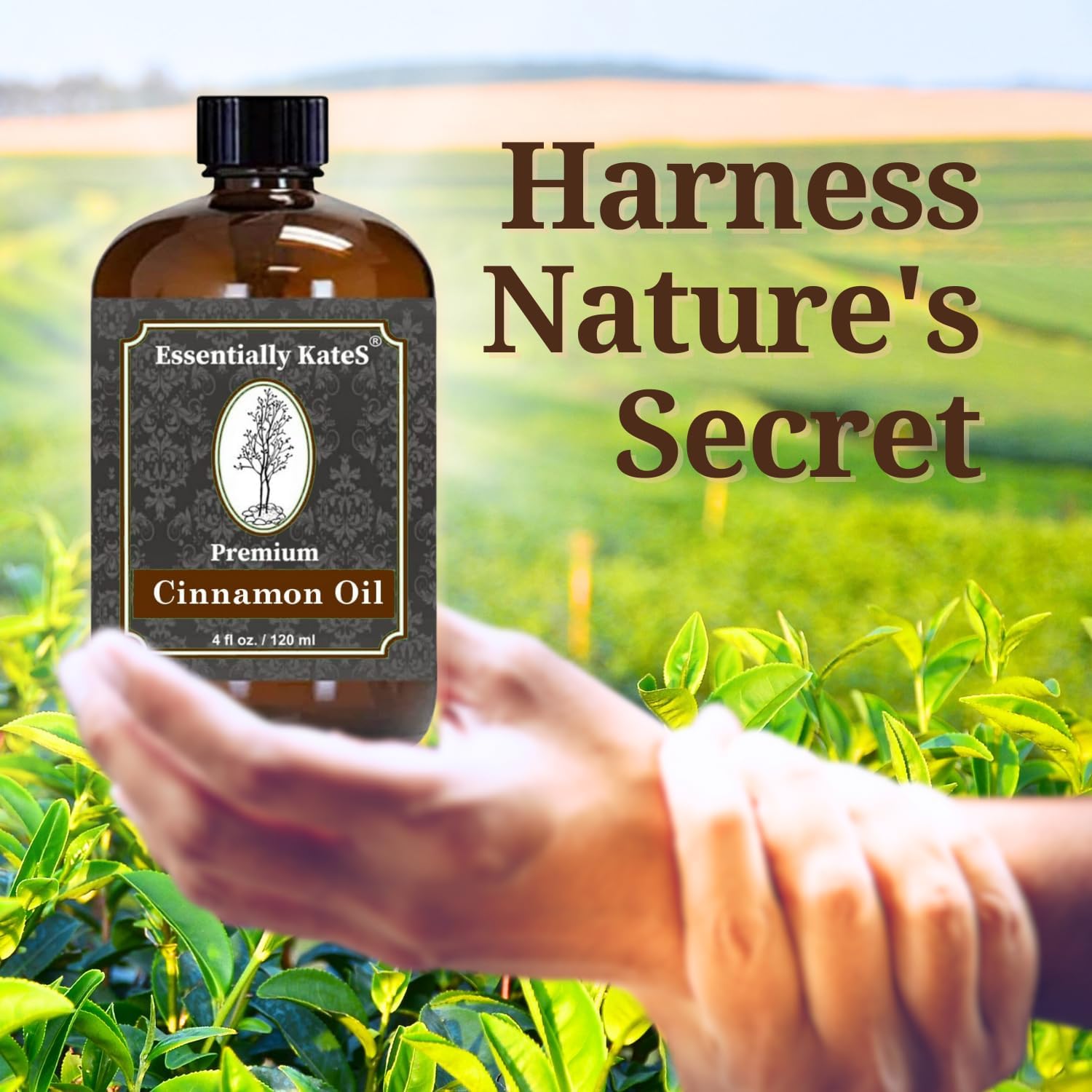 ESSENTIALLY KATES Premium Oil