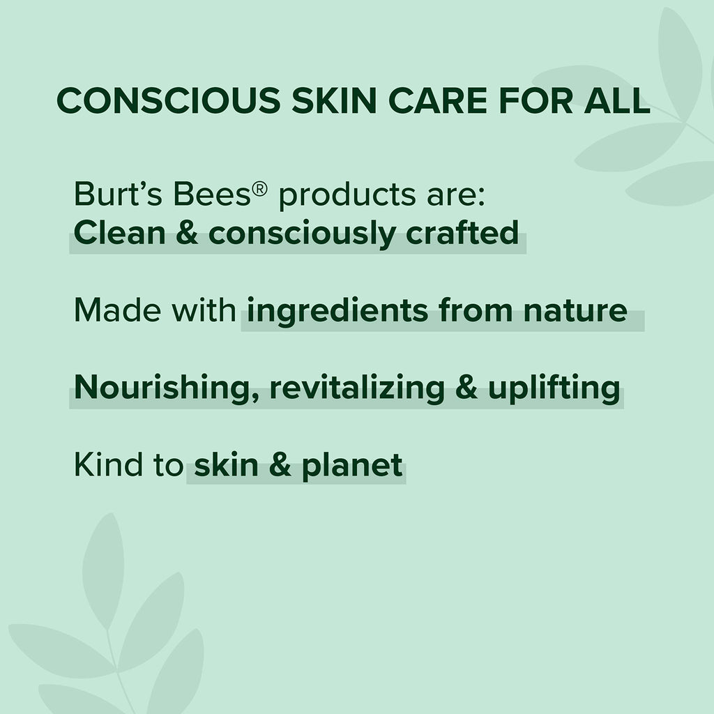 BURT'S BEES 100% Natural Origin Moisturizing Lip Shine