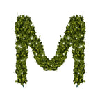 Green Garland with Warm White Lights |  99'X 8"