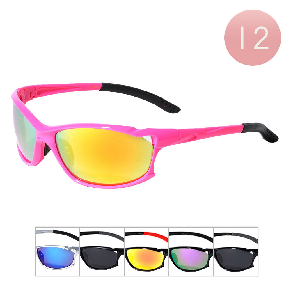 12Pcs Tinted Wayfarer Sunglasses