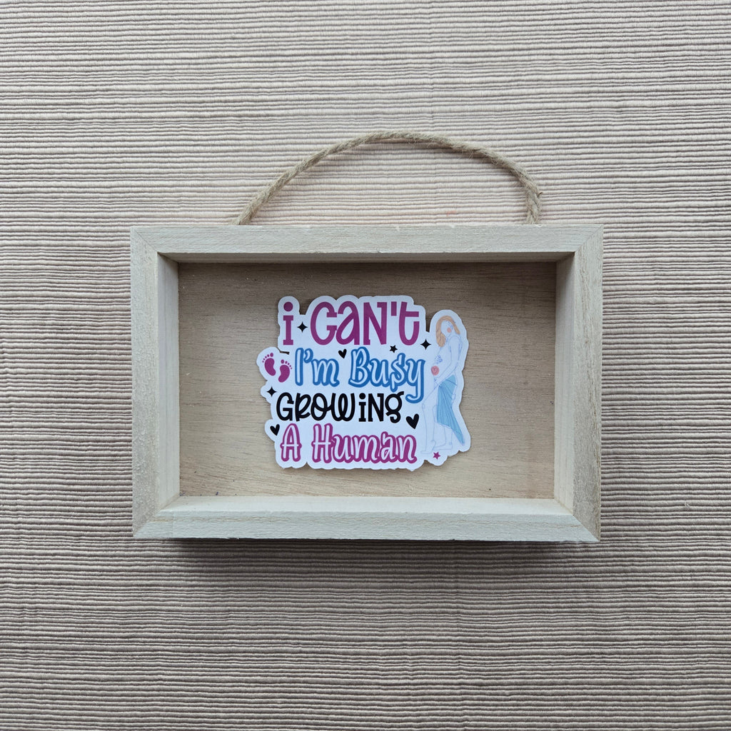 Funny Pregnancy Stickers
