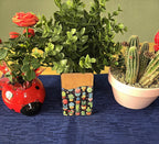 Cute Adhesive Cell Phone Wallets (Multiple designs available)