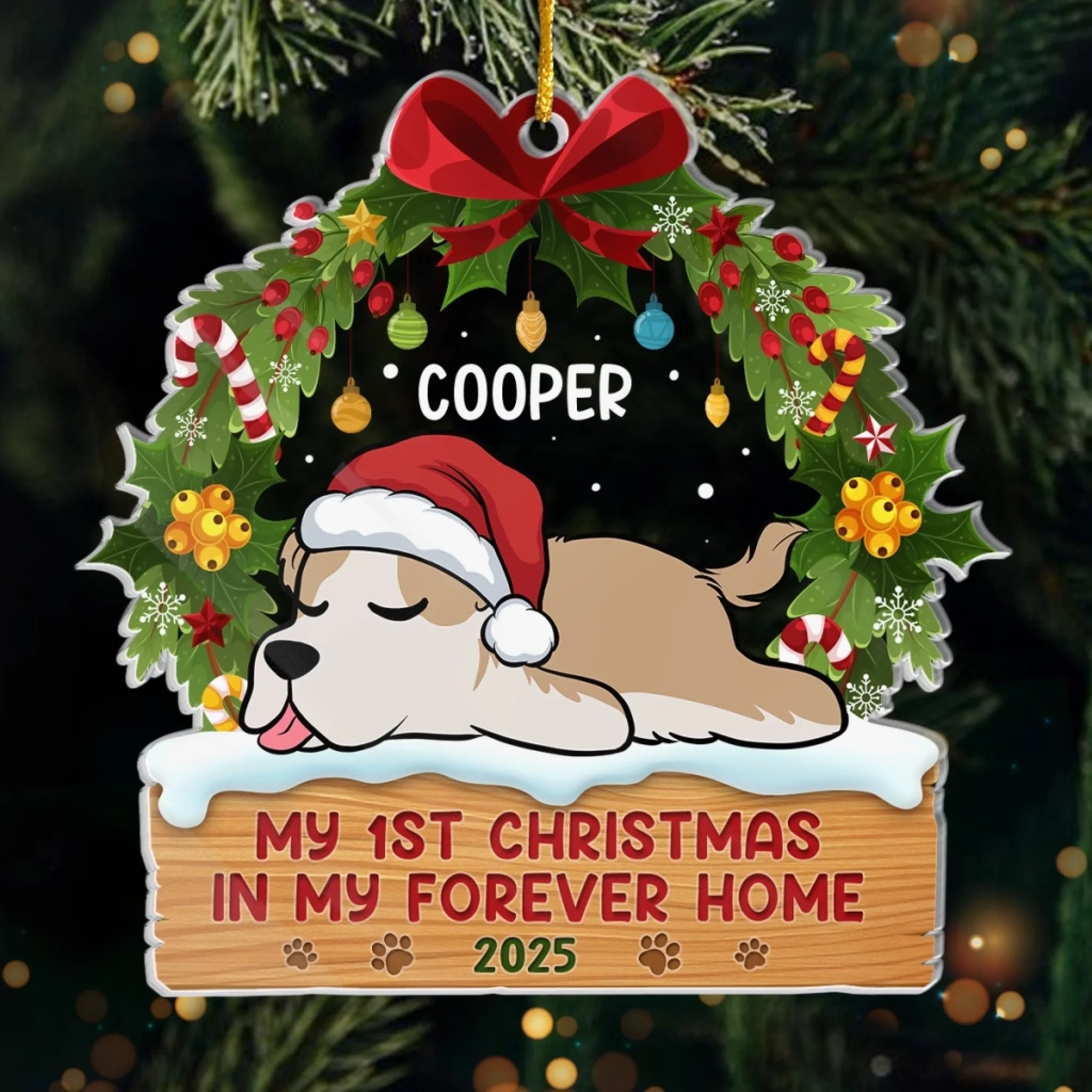 First Paws Under The Tree Dog & Cat - Personalized Custom Shaped Acrylic Ornament - Christmas Gift For Dog Lovers, Cat Lovers