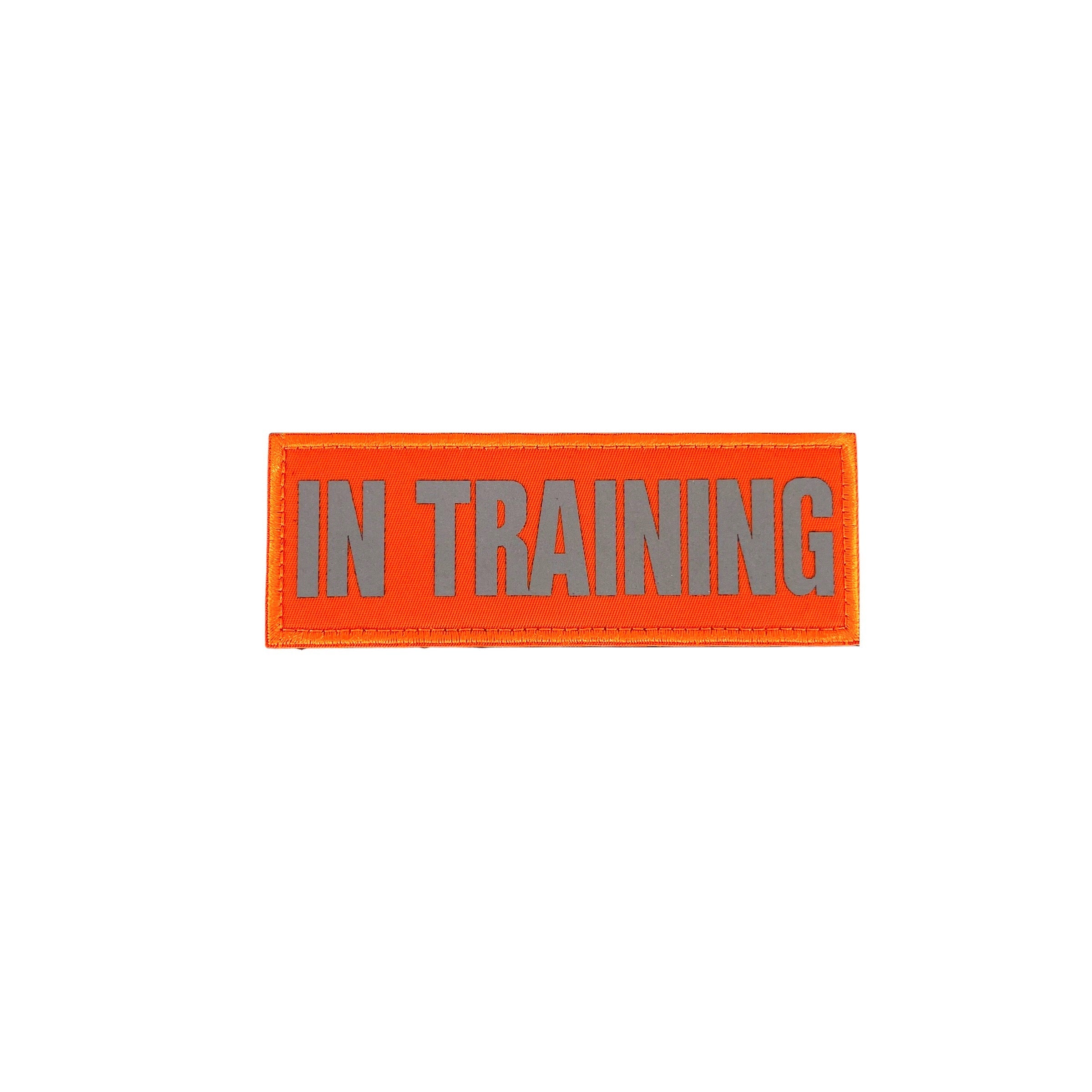 REFLECTIVE HIGH VISIBILITY NEON Tag Patch