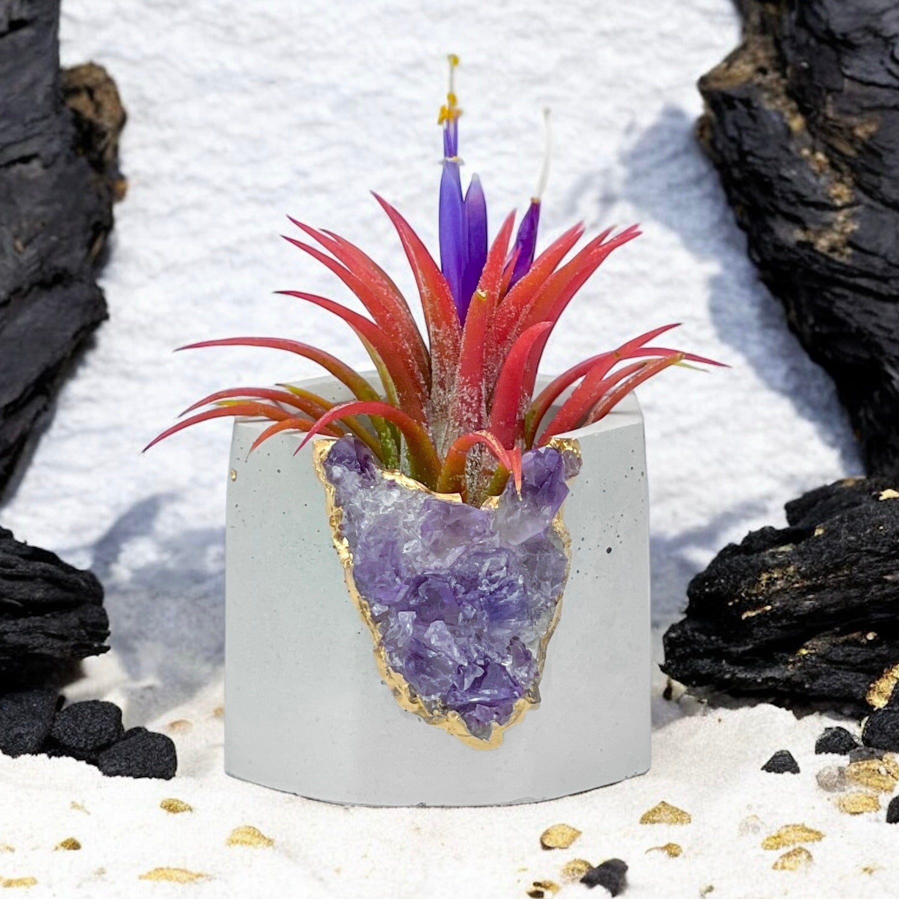 Brazil AMETHYST GEODE PLANTER