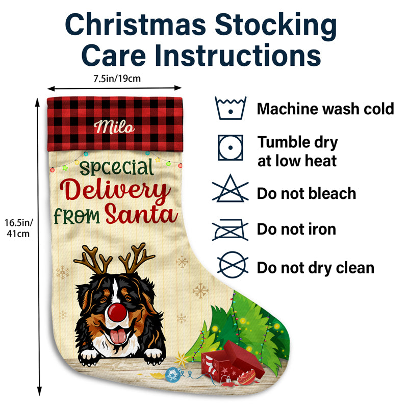 On The Naughty List And I Regret Nothing Cat Dog - Personalized Custom Christmas Stocking - Gift For Dog Lovers & Cat Lovers