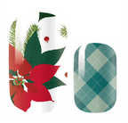 Christmas Poinsettia