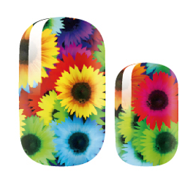Sunflower Colors