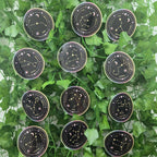 Constellation Zodiac Stickers