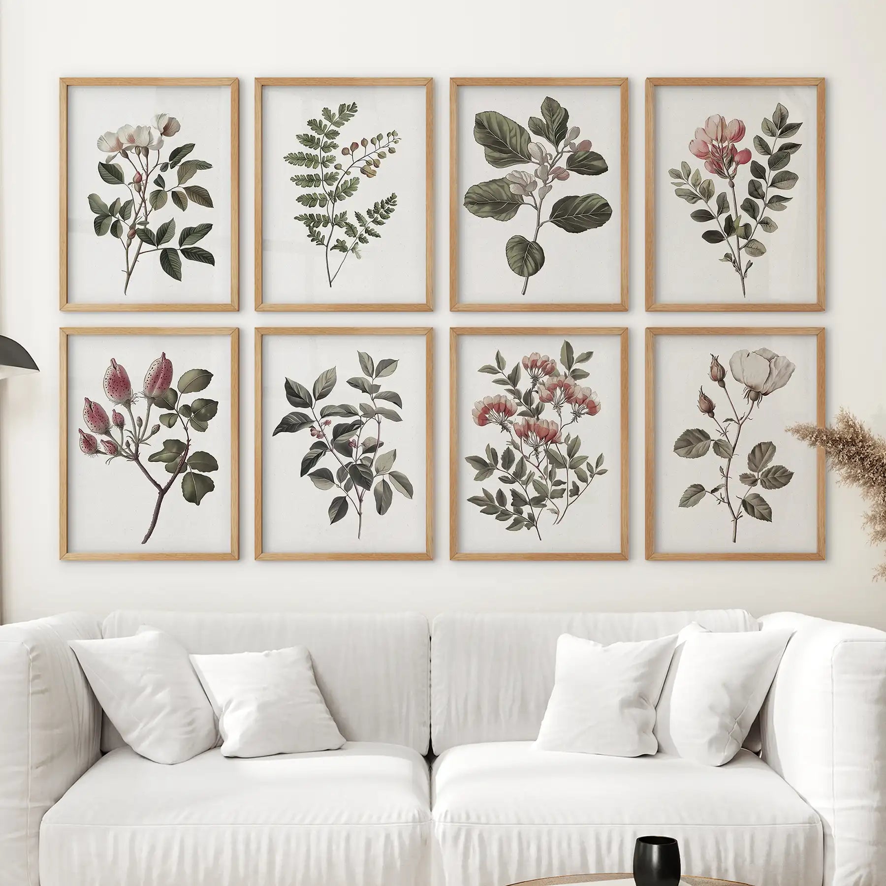 Antique Botanical set of 8 Prints. White Rose Wall Art