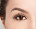 ARDELL Studio Effects Pro-Designed Layered Lashes