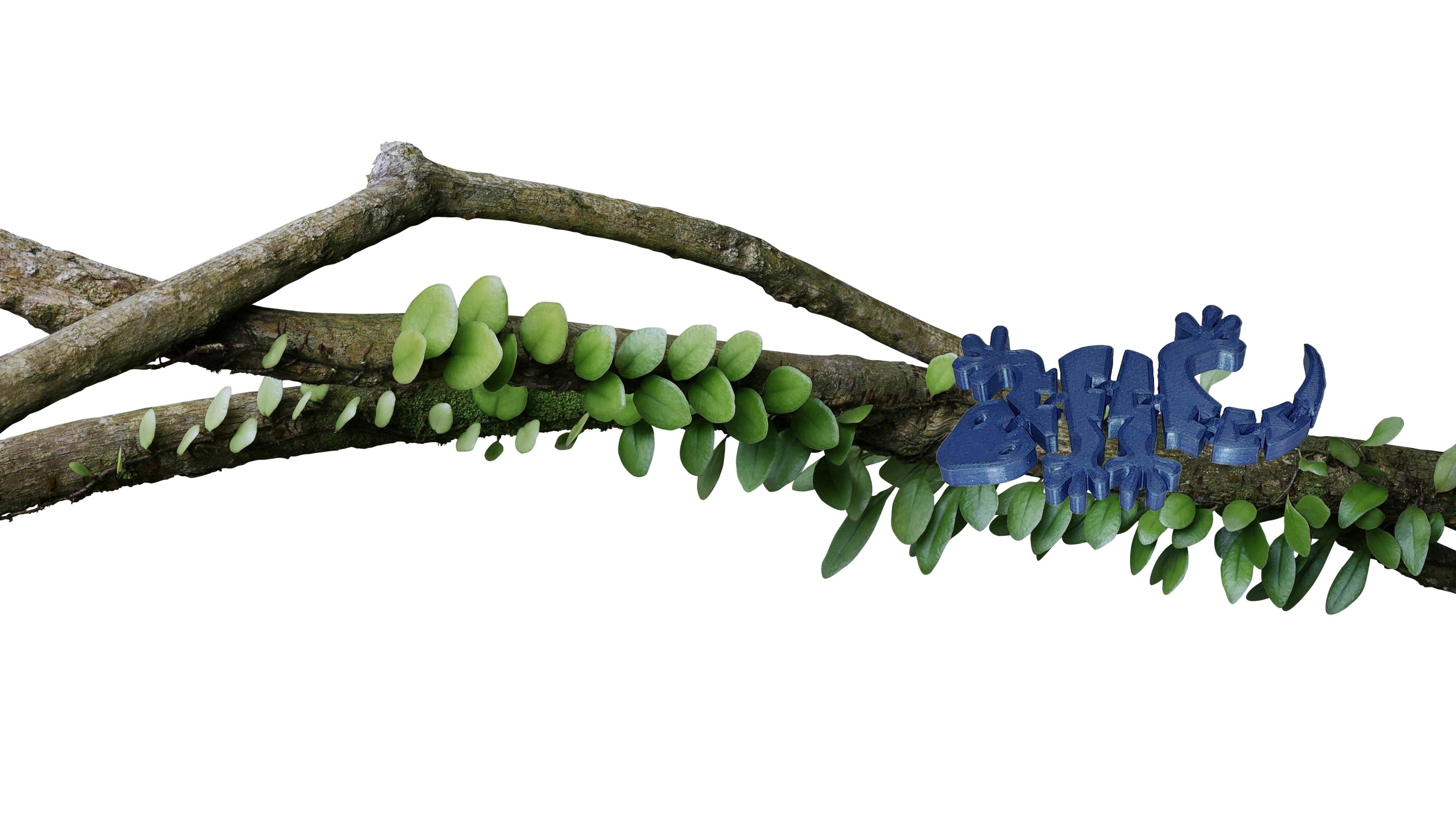 Cute Flexible 3D Printed Gecko, Multiple Color Options Available