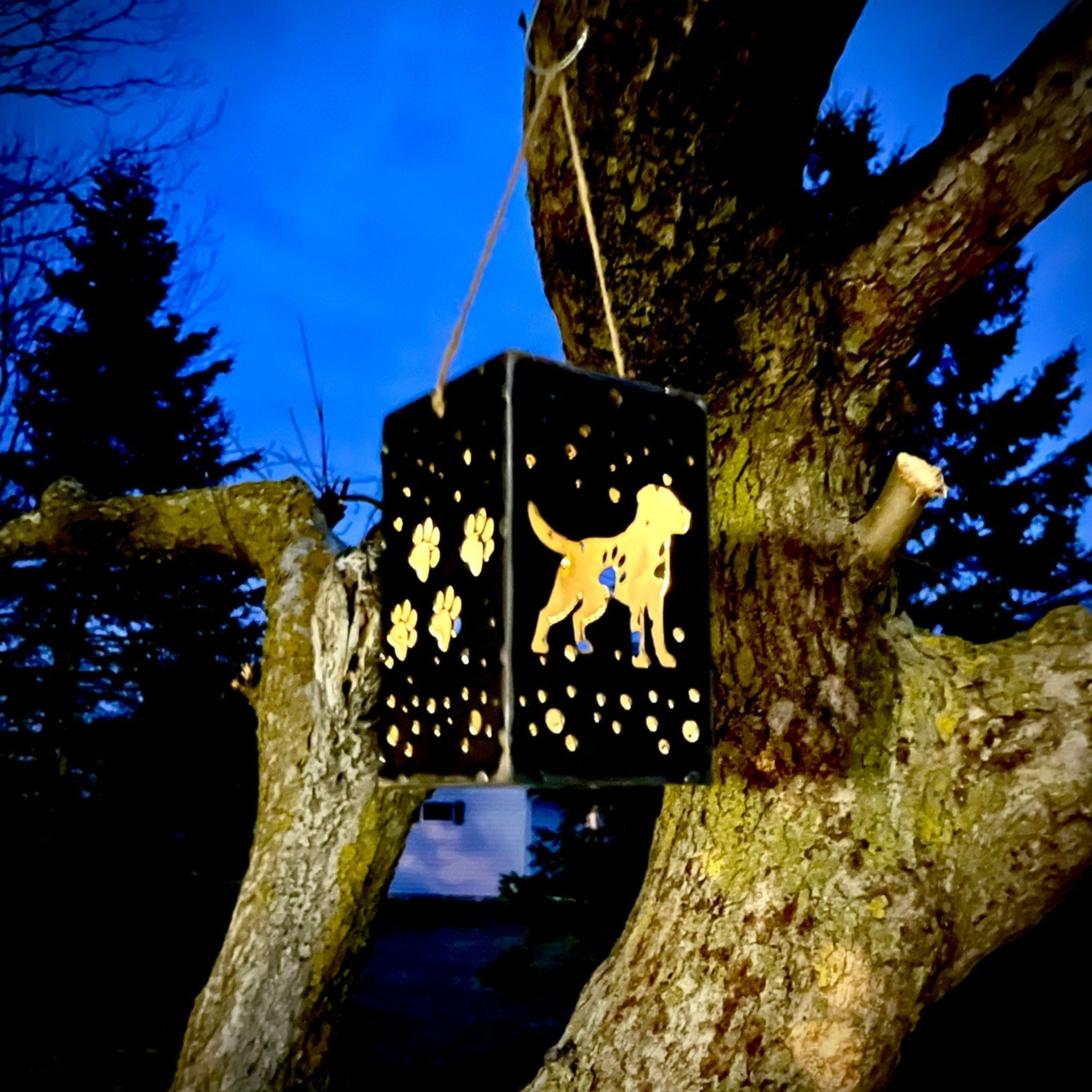 Hanging Steel Solar Puppy Cube | 6.5 in. | Pick a Breed