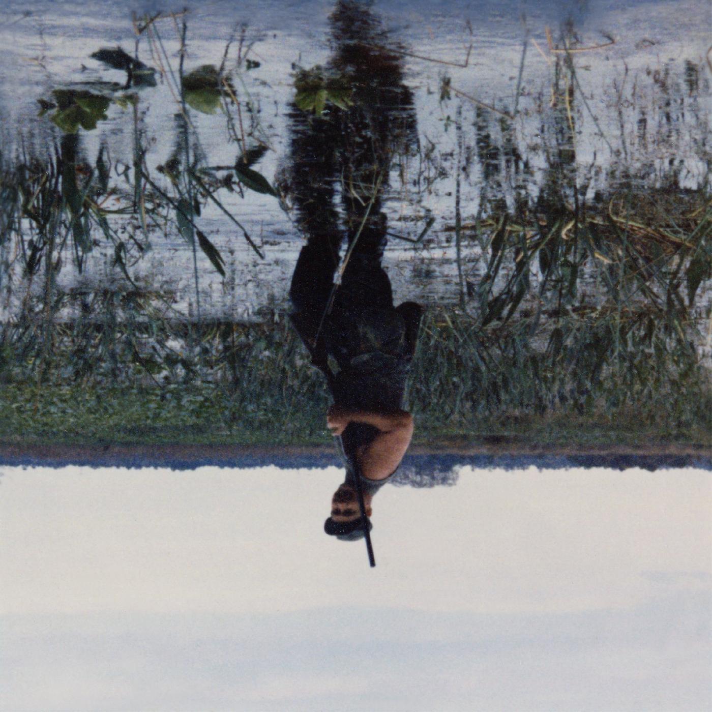 Animal Drowning (GRAY CASSETTE) [Cassette]