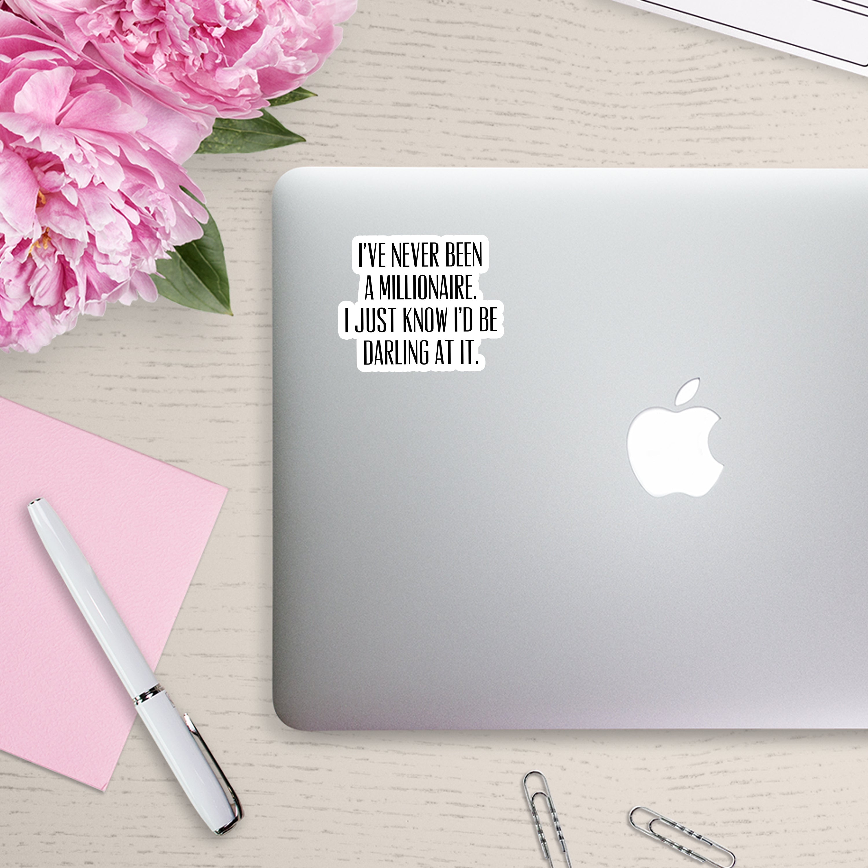I've Never Been a Millionaire Sticker