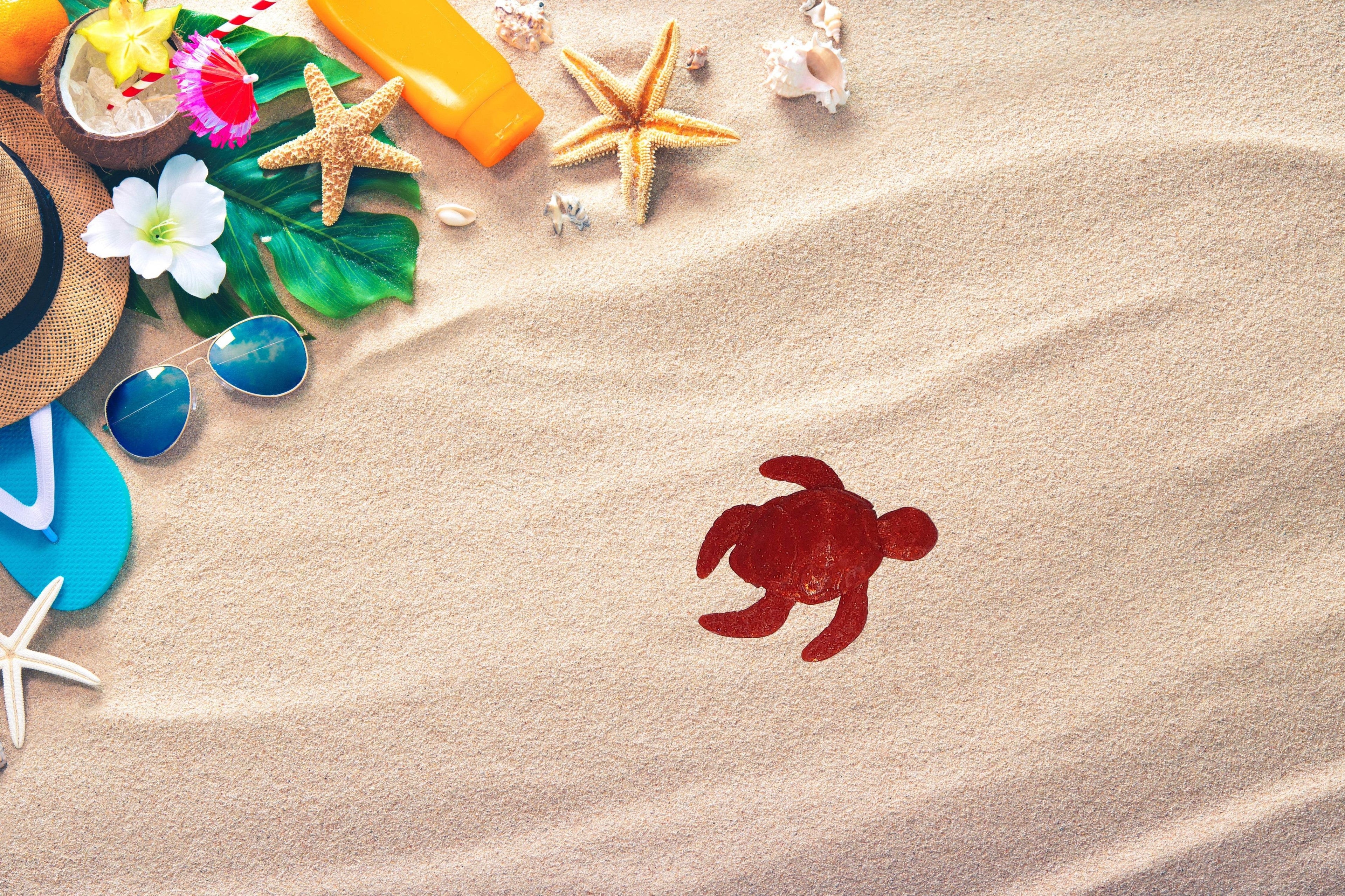 Cute Flexible 3D Printed Turtle, Multiple Color Options Available
